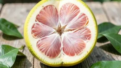 Co je pomelo a jaké má účinky - ilustrační foto