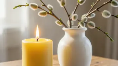 Jaké tradice a rituály jsou spojeny s hromnicemi - ilustrační foto