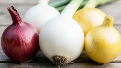 Co obsahuje cibule a její zdravotní přínosy - ilustrační foto
