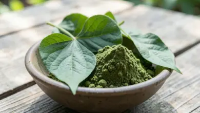 Co je kratom účinky a rizika užívání - ilustrační foto
