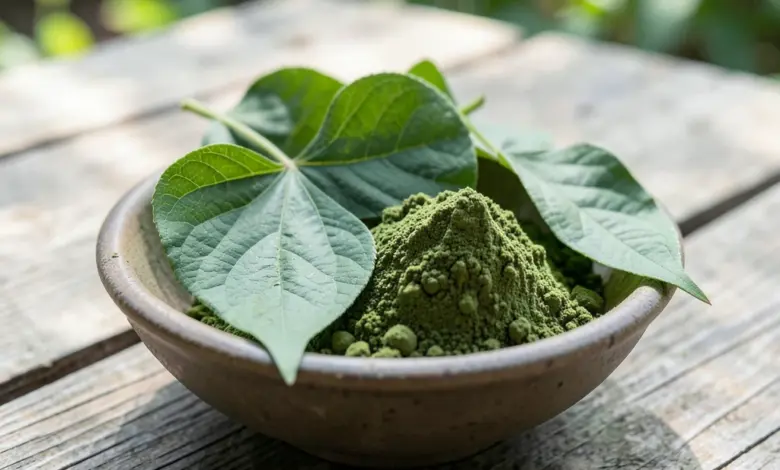 Co je kratom účinky a rizika užívání - ilustrační foto