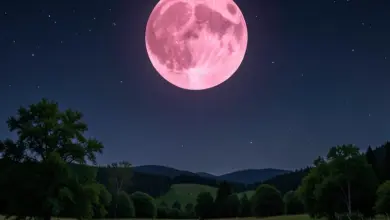 Jak ovlivňuje červnový úplněk znamení zvěrokruhu - ilustrační foto