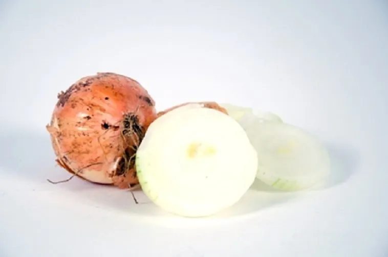 Cibule s řezem ukazuje vrstvy uvnitř na bílém pozadí.