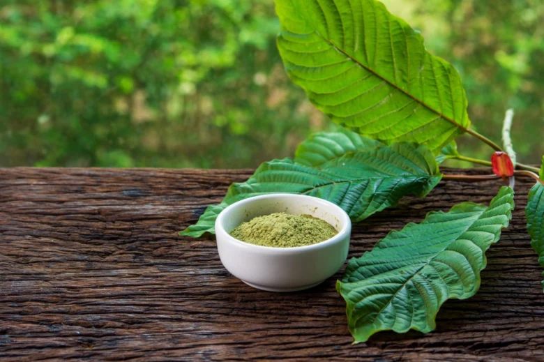 Malá miska s práškem z listů kratom na dřevěné desce.