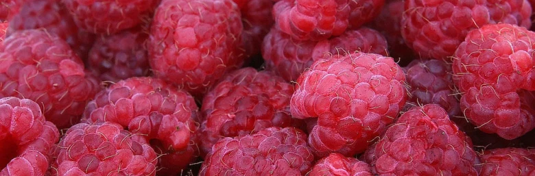 Raspberries close-up