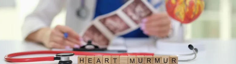 Stetoskop s dřevěnými kostkami psanými HEART MURMUR u lékaře.