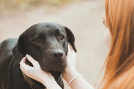 Dívka hladí černého labradora venku v přírodním světle.
