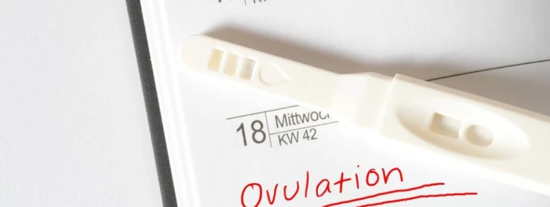 Test proužek na kalendáři označující den ovulace.
