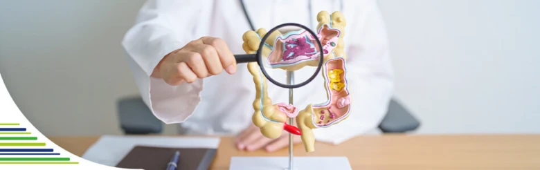 Medical model with magnifying glass