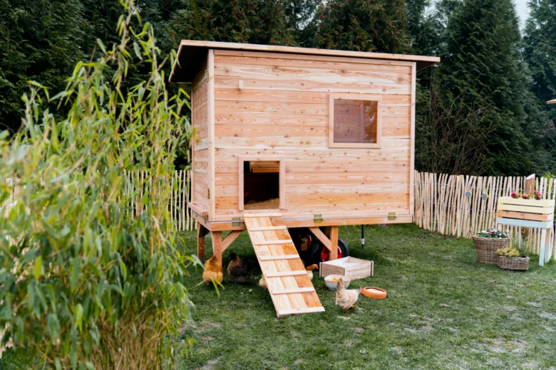 Hotový dřevěný kurník se schodištěm pro slepice na trávníku.