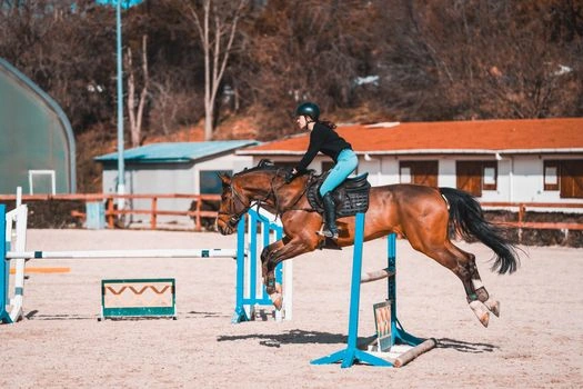 Kůň skáče přes překážku s jezdcem na sportovním areálu.