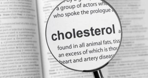 Slovník s definicí cholesterolu pod lupou.