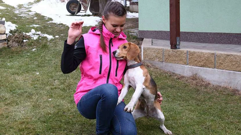 Girl and beagle dog