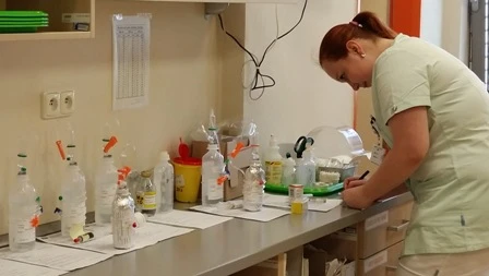 Připravování vzorků v laboratoři zdravotní sestrou.