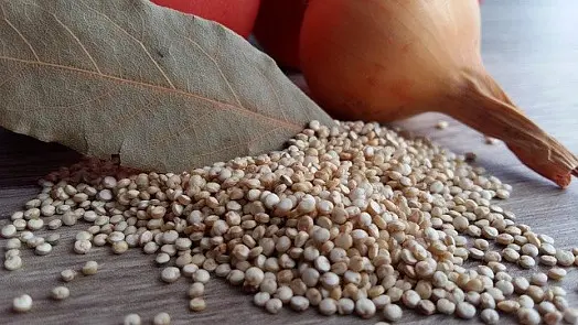 Bílá quinoa s listem vavřínovým, cibulí a rajčetem na dřevě.