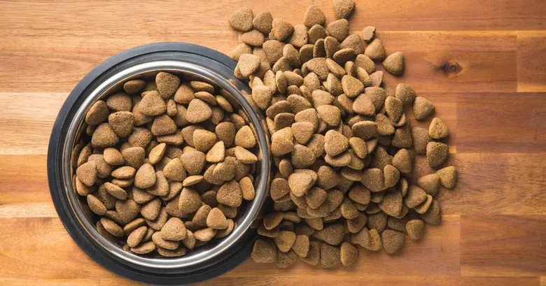 Dog food kibble in bowl and spill