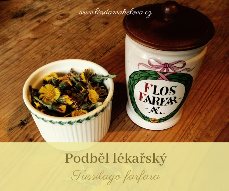 Sušené květy podbělu lékařského v misce vedle sklenice.
