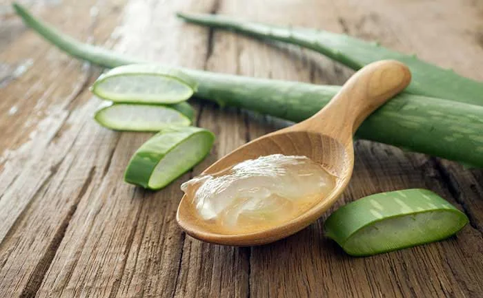 Čerstvý gel z aloe v dřevěné lžičce s listy rostliny.