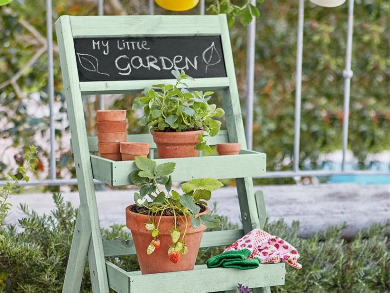 Strawberry plants in pots