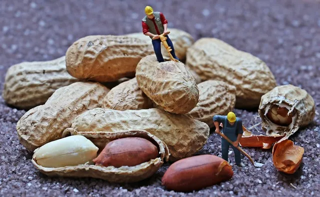 Hromada arašídů s malými postavami dělníků na pozadí.
