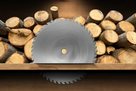Velký pilový disk před hromadou řezaného dřeva.