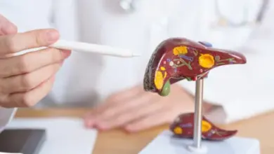 Lékař ukazuje na model jater při vysvětlování příznaků žloutenky.