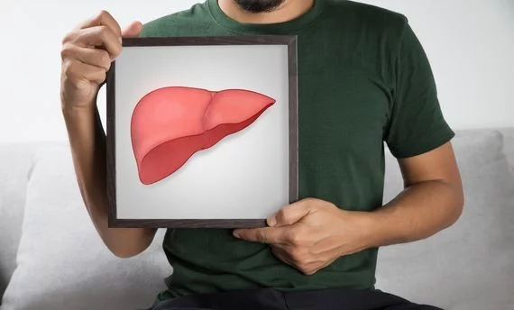 Muž drží rámeček s ilustrací lidského jatra.
