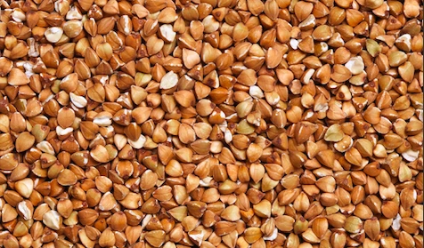 Buckwheat grains