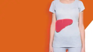 Liver on torso