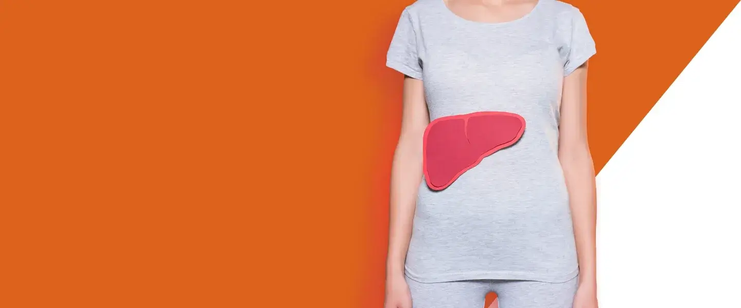 Liver on torso