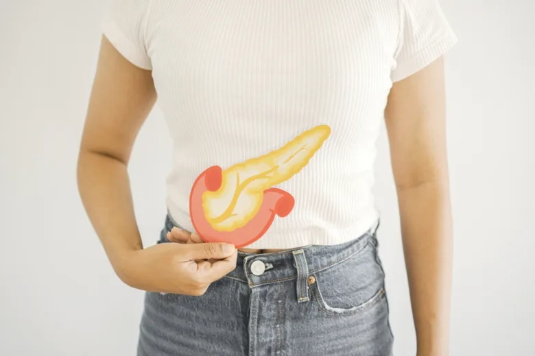 Osoba drží anatomický model trávicí soustavy před žaludkem.
