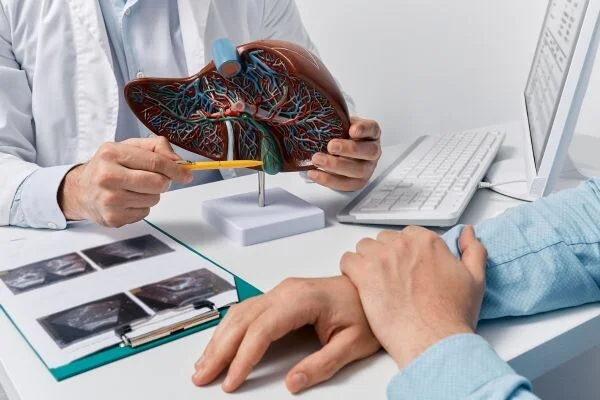 Lékař ukazuje pacientovi model jater při konzultaci.