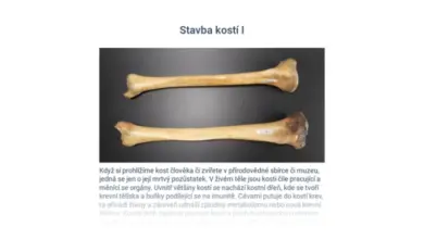Dvě lidské kosti nohy na tmavém pozadí s vysvětlením.