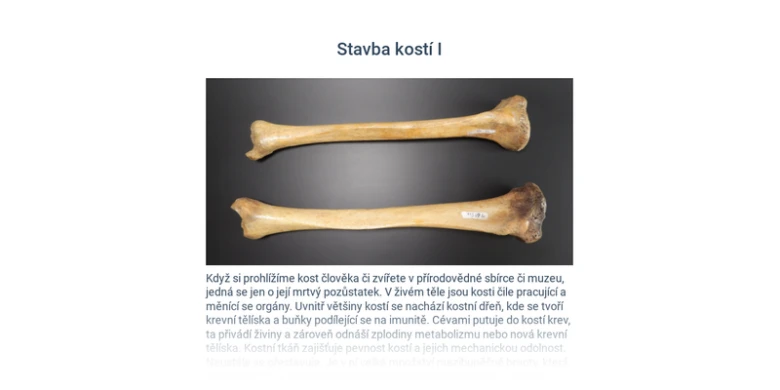 Dvě lidské kosti nohy na tmavém pozadí s vysvětlením.