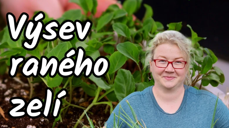 Žena stojí před mladými rostlinami zeleniny v truhlíku.