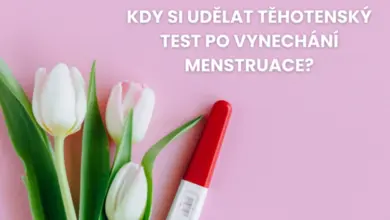 Těhotenský test vedle bílých tulipánů na růžovém pozadí.