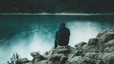 Osamělá osoba sedí na skále u jezera v přírodě.
