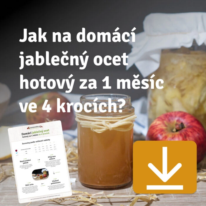 Domácí jablečný ocet připravený za jeden měsíc ve čtyřech krocích.